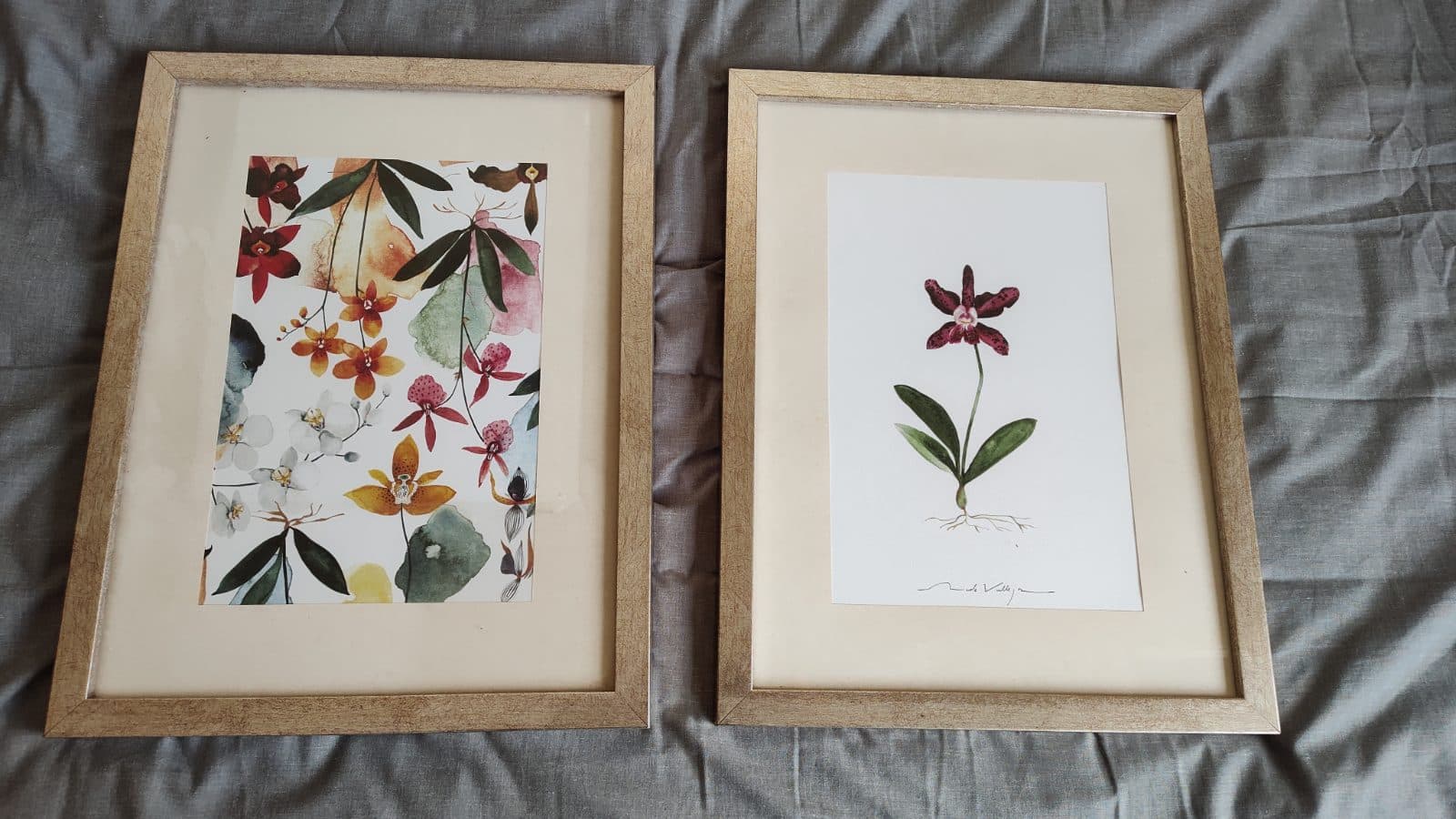 Set de 2 cuadros con ilustraciones botánicas de flores