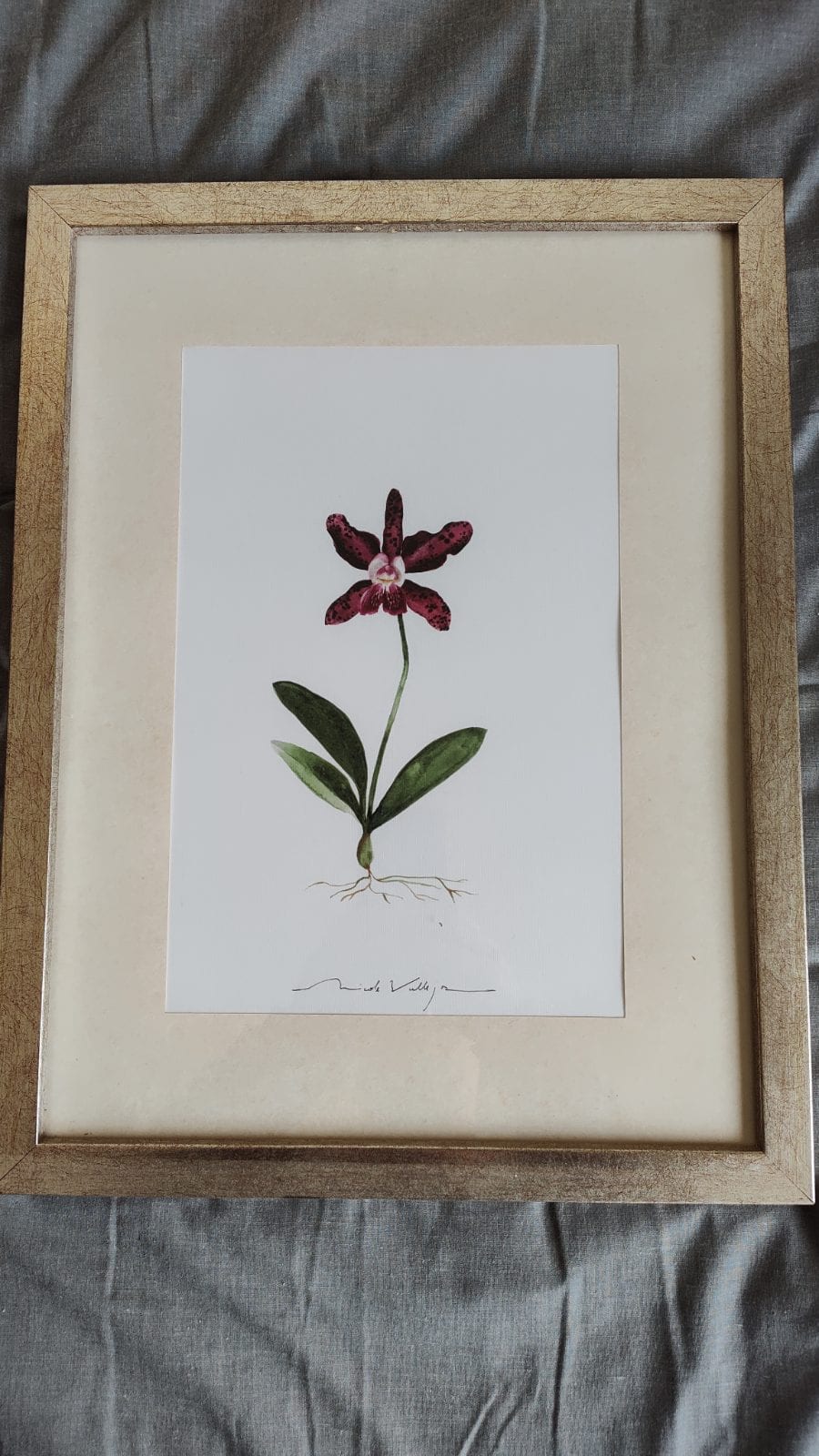 Set de 2 cuadros con ilustraciones botánicas de flores — foto 3